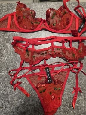 For Love & Lemons Red Cherry Embroidered Sheer Lingerie Set